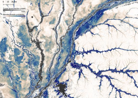 Figure showing flooded forests in Congo
