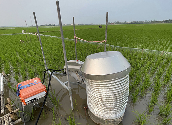 Automated chambers in rice paddy soils, Vietnam