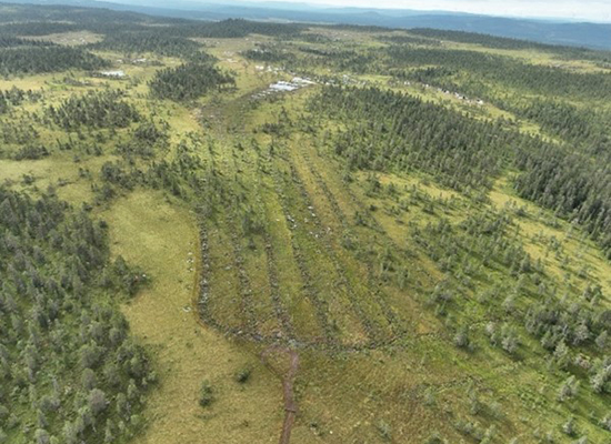 Trysild field-site