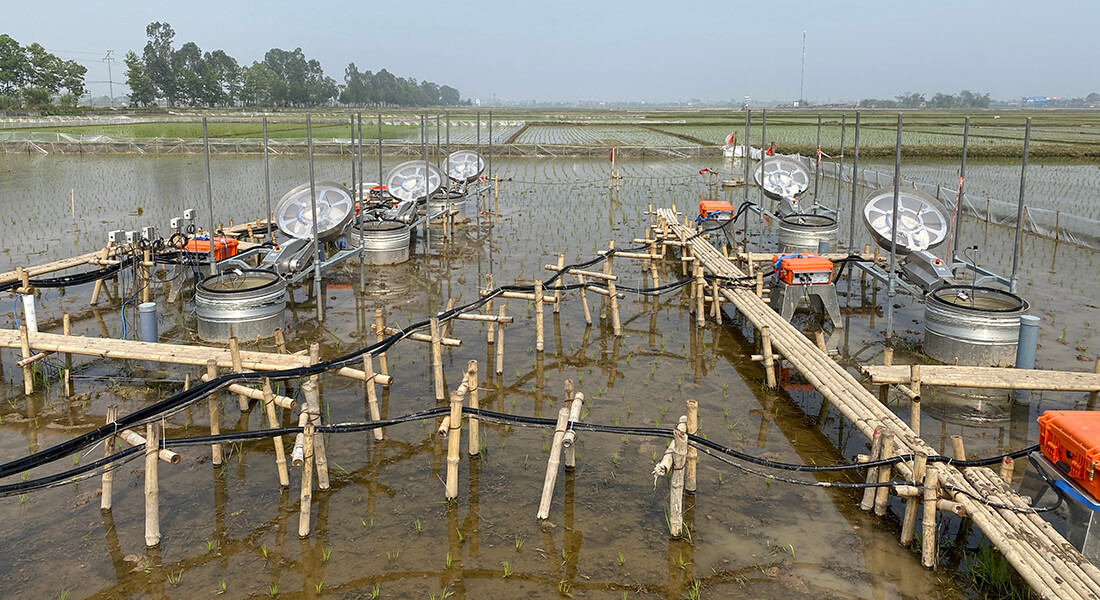 Vietnam field-site